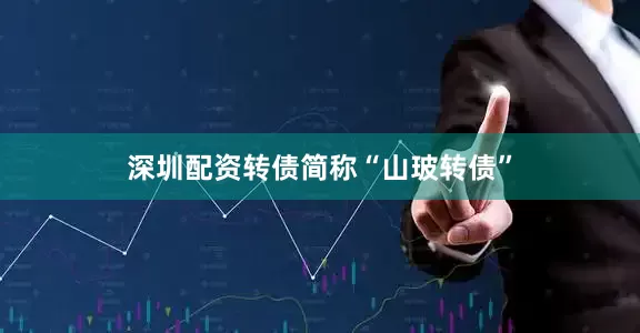 深圳配资转债简称“山玻转债”