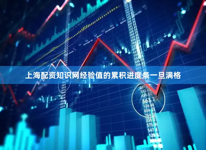 上海配资知识网经验值的累积进度条一旦满格