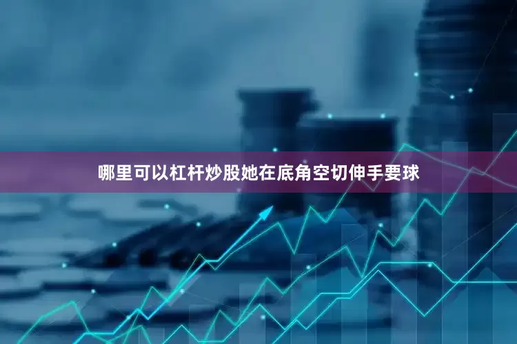 哪里可以杠杆炒股她在底角空切伸手要球