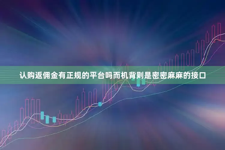 认购返佣金有正规的平台吗而机背则是密密麻麻的接口