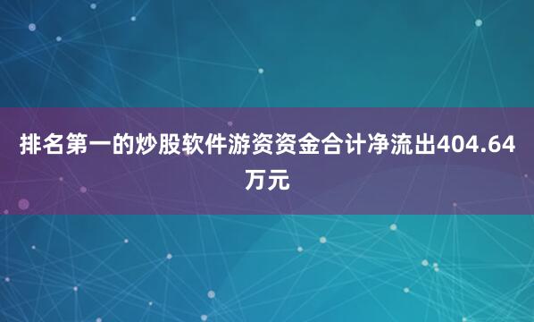 排名第一的炒股软件游资资金合计净流出404.64万元