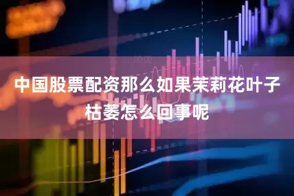 中国股票配资那么如果茉莉花叶子枯萎怎么回事呢
